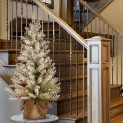 National Tree Company 3 ft. Pre-Lit Dunhill Fir Tree with Warm White LED Lights