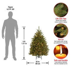 National Tree Company 4 ft. Pre-Lit Dunhill Fir Tree with Clear Lights