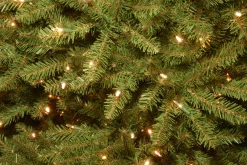 National Tree Company 12 ft. Pre-Lit Dunhill Fir Tree with PowerConnect Dual Color LED Lights