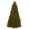 National Tree Company 10 ft. Pre-Lit Dunhill Fir Tree with Clear Lights