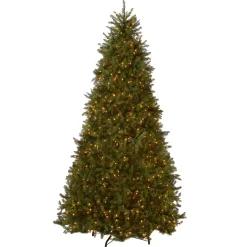 National Tree Company 10 ft. Pre-Lit Dunhill Fir Tree with Clear Lights