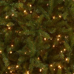 National Tree Company 10 ft. Pre-Lit Dunhill Fir Tree with Clear Lights
