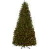 National Tree Company 10 ft. Pre-Lit Dunhill Fir Tree with Dual Color LED Lights