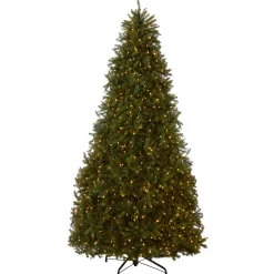 National Tree Company 10 ft. Pre-Lit Dunhill Fir Tree with Dual Color LED Lights