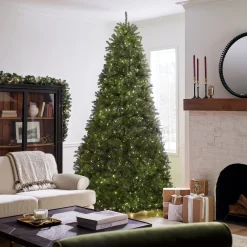 National Tree Company 10 ft. Pre-Lit Dunhill Fir Tree with Dual Color LED Lights