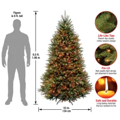 National Tree Company 6.5 ft. Pre-Lit Dunhill Fir Tree with Multicolor Lights