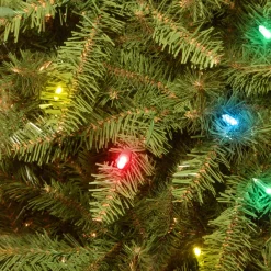 National Tree Company 4.5 ft. Pre-Lit Dunhill Fir Tree with Multicolor Lights