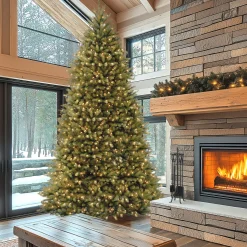 National Tree Company 12 ft. Pre-Lit Dunhill Fir Tree with Clear Lights