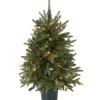 National Tree Company 3 ft. Pre-Lit Everyday Collection Tree with Clear Lights