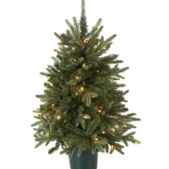 National Tree Company 3 ft. Pre-Lit Everyday Collection Tree with Clear Lights