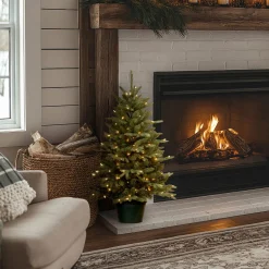 National Tree Company 3 ft. Pre-Lit Everyday Collection Tree with Clear Lights