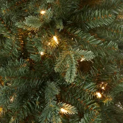 National Tree Company 3 ft. Pre-Lit Everyday Collection Tree with Clear Lights