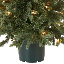 National Tree Company 3 ft. Pre-Lit Everyday Collection Tree with Clear Lights