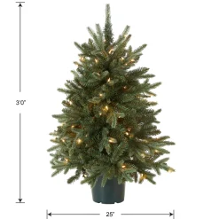 National Tree Company 3 ft. Pre-Lit Everyday Collection Tree with Clear Lights