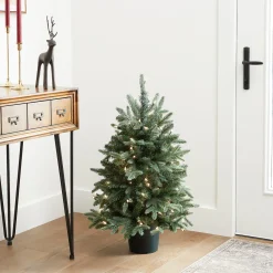 National Tree Company 3 ft. Pre-Lit Everyday Collection Tree with Clear Lights