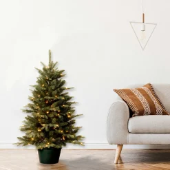 National Tree Company 3 ft. Pre-Lit Everyday Collection Tree with Clear Lights