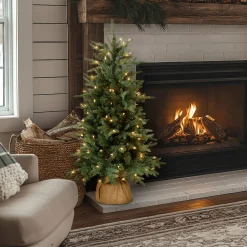 National Tree Company 4 ft. Pre-Lit Everyday Collection Tree with Clear Lights