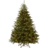 National Tree Company 7.5 ft. Pre-Lit Fraser Grande Tree with Dual Color LED Lights