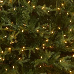 National Tree Company 7.5 ft. Pre-Lit Fraser Grande Tree with Dual Color LED Lights