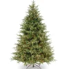 National Tree Company 6.5 ft. Pre-Lit Fraser Grande Tree with Clear Lights