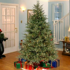 National Tree Company 6.5 ft. Pre-Lit Fraser Grande Tree with Dual Color LED Lights