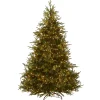 National Tree Company 7.5 ft. Pre-Lit Fraser Grande Tree with Clear Lights