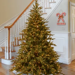 National Tree Company 9 ft. Pre-Lit Fraser Grande Tree with Dual Color LED Lights