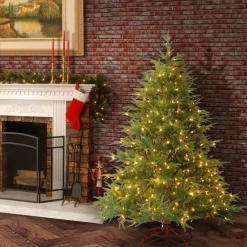 National Tree Company 6 ft. Pre-Lit Fraser Grande with Dual Color LED Lights