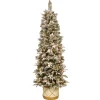 National Tree Company 6 ft. Pre-Lit Frosted Colonial Slim Half Tree with Clear Lights