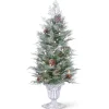 National Tree Company 4 ft. Pre-Lit Frosted Mountain Spruce Tree with Clear Lights