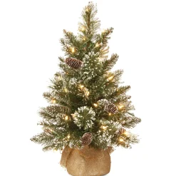 National Tree Company 2 ft. Pre-Lit Glittery Bristle Tree with LED Lights