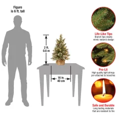 National Tree Company 2 ft. Pre-Lit Glittery Bristle Tree with LED Lights