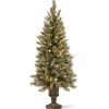 National Tree Company 4 ft. Pre-Lit Glittery Bristle Tree with Warm White LED Lights