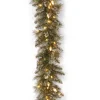 National Tree Company 9 ft. Pre-Lit Glittery Bristle Pine Garland with Warm White LED Lights