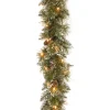 National Tree Company 6 ft. Pre-Lit Glittery Bristle Pine Garland with LED Lights
