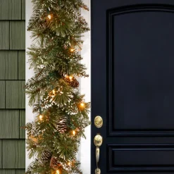 National Tree Company 6 ft. Pre-Lit Glittery Bristle Pine Garland with LED Lights