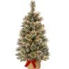 National Tree Company 3 ft. Pre-Lit Glittery Bristle Tree with LED Lights