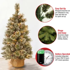 National Tree Company 3 ft. Pre-Lit Glittery Bristle Tree with LED Lights