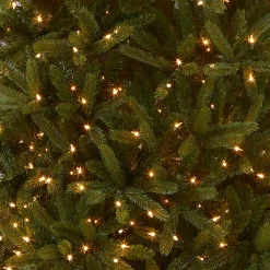 National Tree Company 7.5 ft. Pre-Lit Grande Fir Medium Tree with Clear Lights