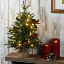 National Tree Company 2 ft. Pre-Lit Happy Hill Pine Tree with LED Lights