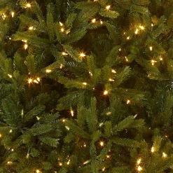 National Tree Company 6.5 ft. Pre-Lit Jersey Fraser Fir Medium Tree with Dual Color LED Lights