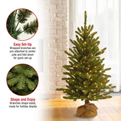 National Tree Company 4 ft. Pre-Lit Kensington Fir Tree in a Burlap Sack with Clear Lights