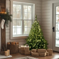 National Tree Company 4 ft. Pre-Lit Kincaid Spruce Tree with Clear Lights
