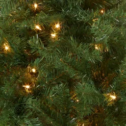 National Tree Company 4 ft. Pre-Lit Kincaid Spruce Tree with Clear Lights