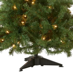 National Tree Company 4 ft. Pre-Lit Kincaid Spruce Tree with Clear Lights