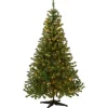 National Tree Company 6 ft. Pre-Lit Kincaid Spruce Tree with Clear Lights