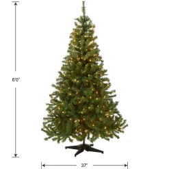National Tree Company 6 ft. Pre-Lit Kincaid Spruce Tree with Clear Lights
