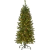 National Tree Company 4.5 ft. Pre-Lit Kingswood Fir Pencil Tree with Clear Lights