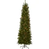 National Tree Company 7.5 ft. Pre-Lit Kingswood Fir Pencil Tree with Clear Lights