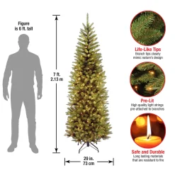 National Tree Company 7 ft. Pre-Lit Kingswood Fir Pencil Tree with Clear Lights